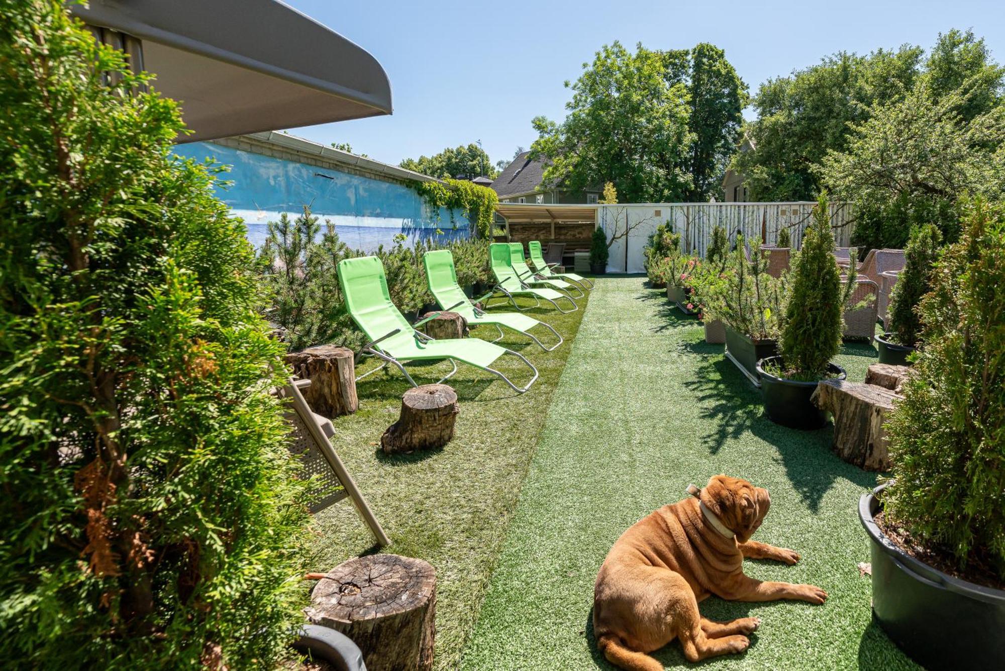 Garden Camping 塔林 外观 照片